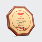 Custom Octagon Gold Award