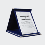 Custom Velvet Blue Awards