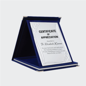 Custom Velvet Blue Awards