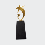Custom Star Top Trophy