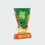 Custom V-Shape Executive Awards